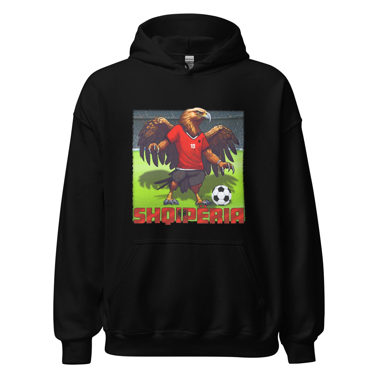 Albanien EM Fußball Trikot Alternative Unisex-Kapuzenpullover