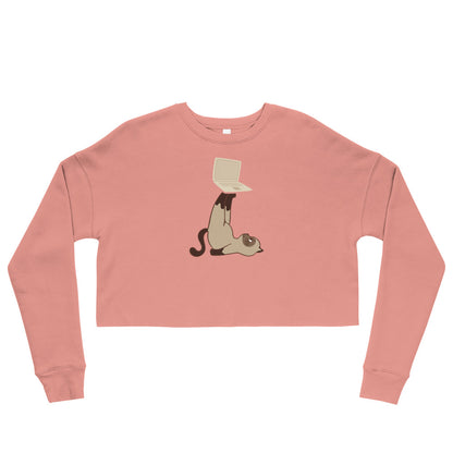 Pull court chat avec ordinateur portable